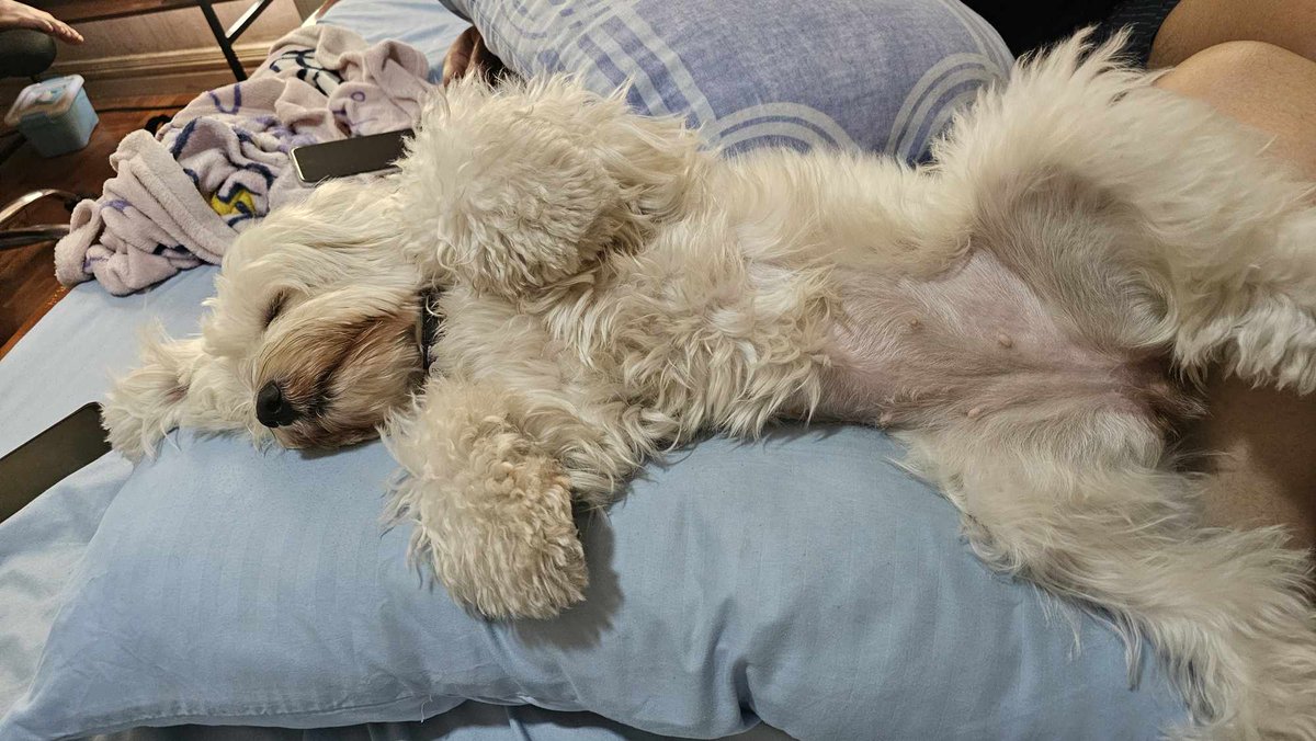 r 🇵🇭🤝🇵🇸 (gareth edwards' strongest soldier) tweet media