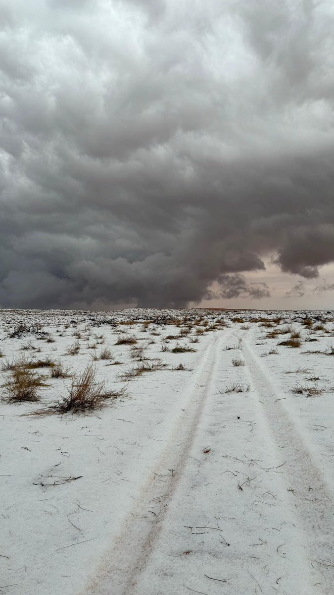 المملكة tweet media