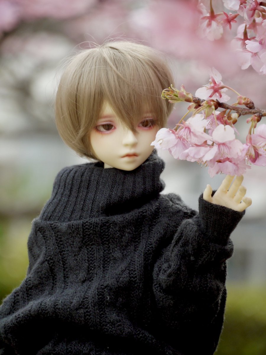 しょうじ tweet media