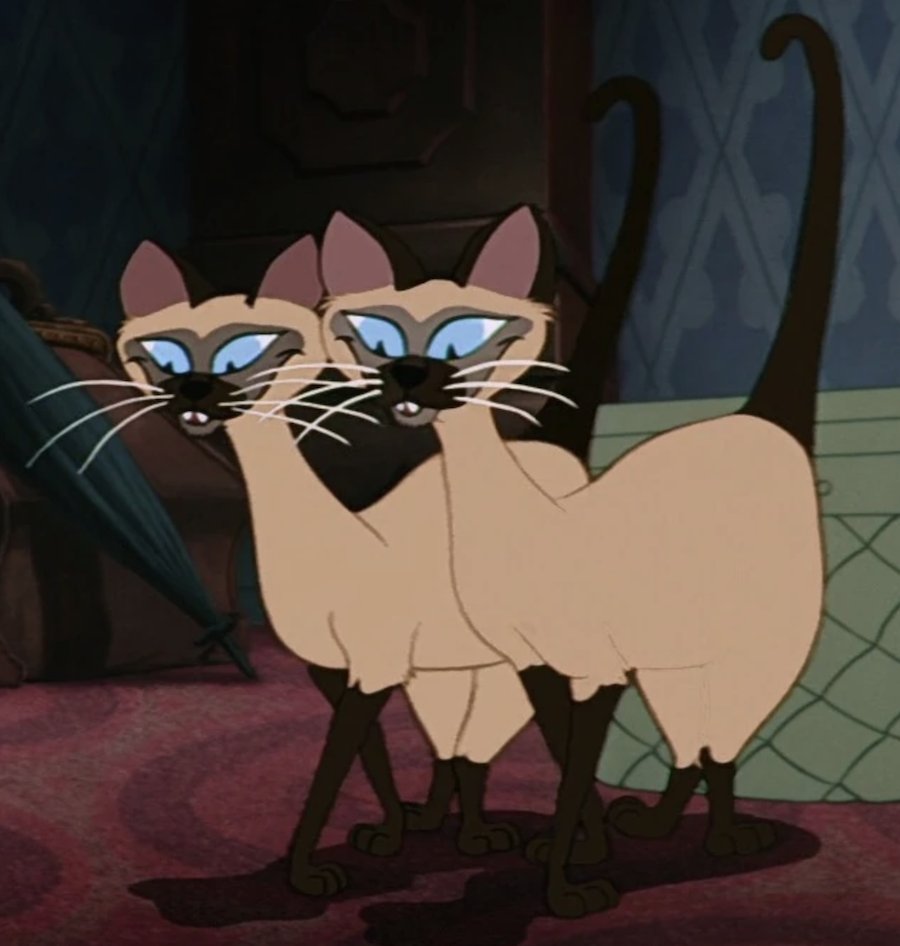 あかつき🔕 tweet media