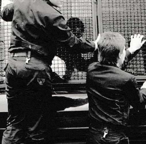 YZ🐔💀 tweet media