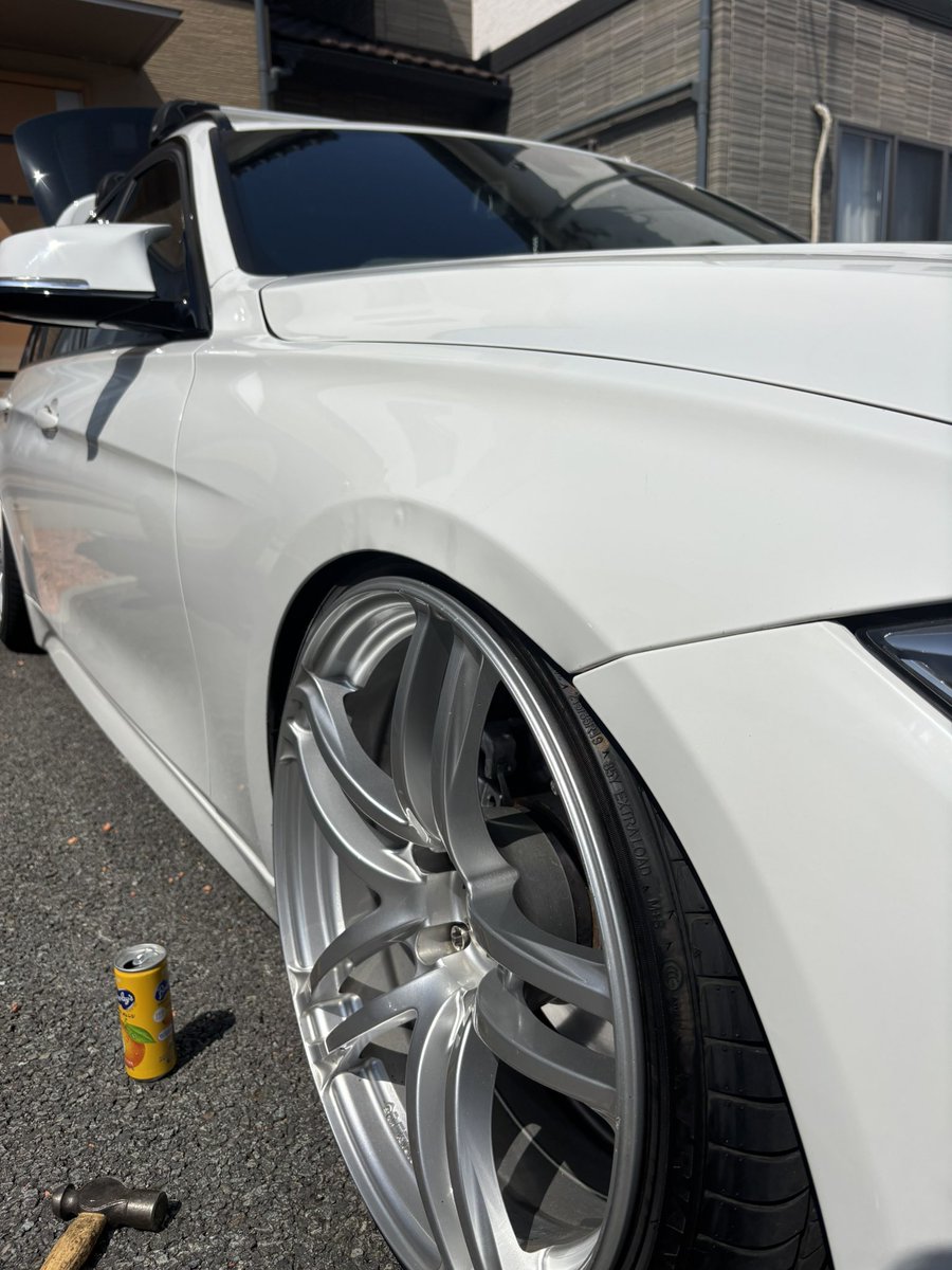 ガオでした。 tweet media