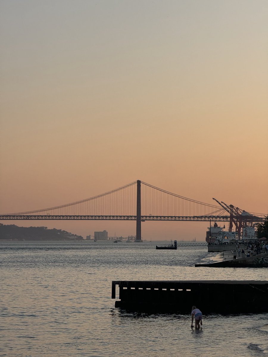 Elevated Golf Simulators tweet media