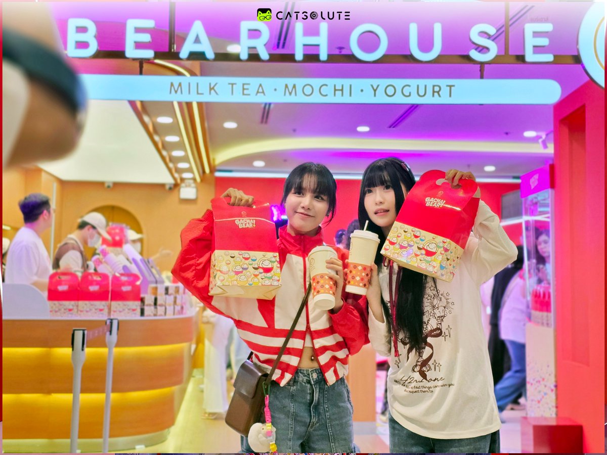 Catsolute tweet media