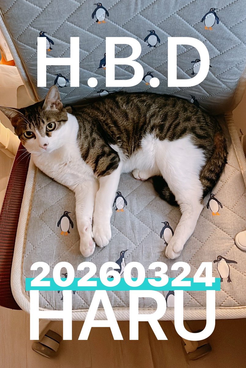 JUNA🌟JUNAzip tweet media