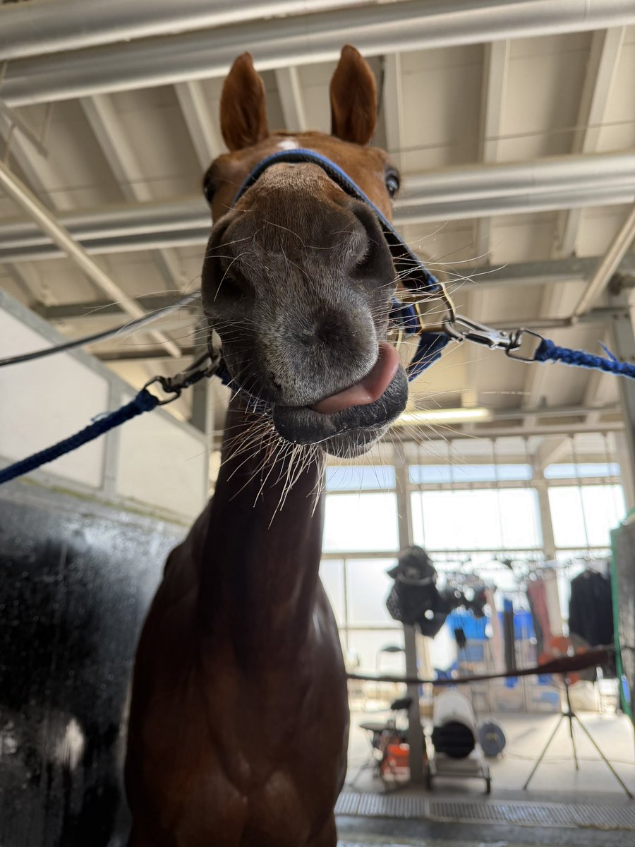 今村聖奈 tweet media