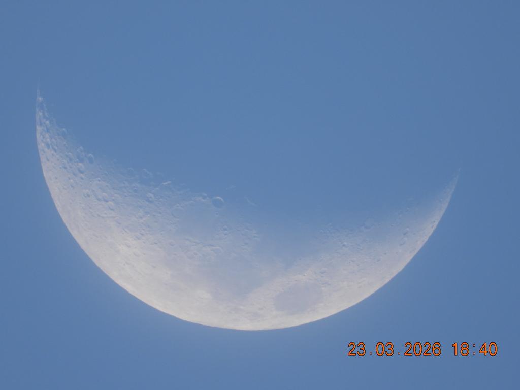 Julia Muñoz tweet media