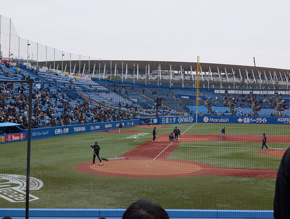 べく。 tweet media