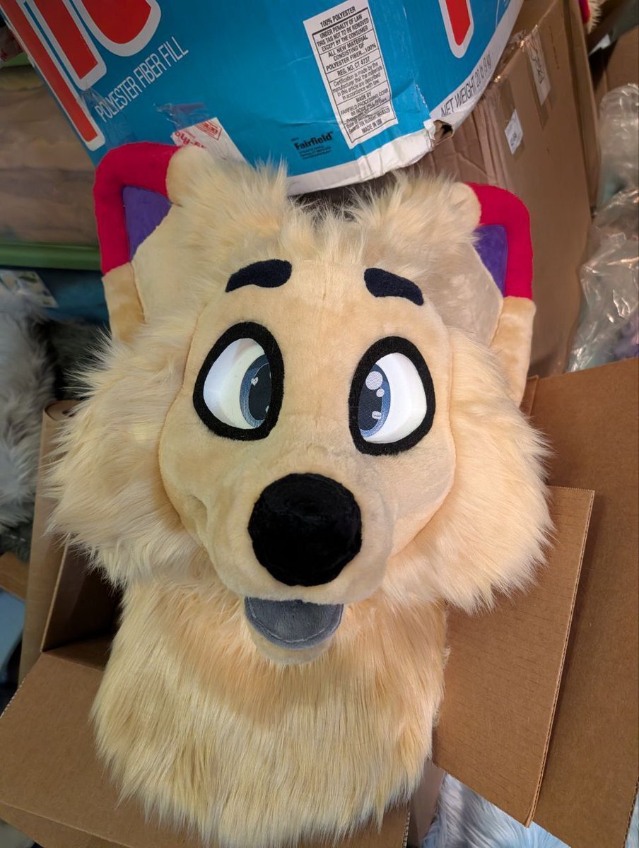 Cass 🐶 Pink Dog VTuber ✨ @ LVFC DD tweet media