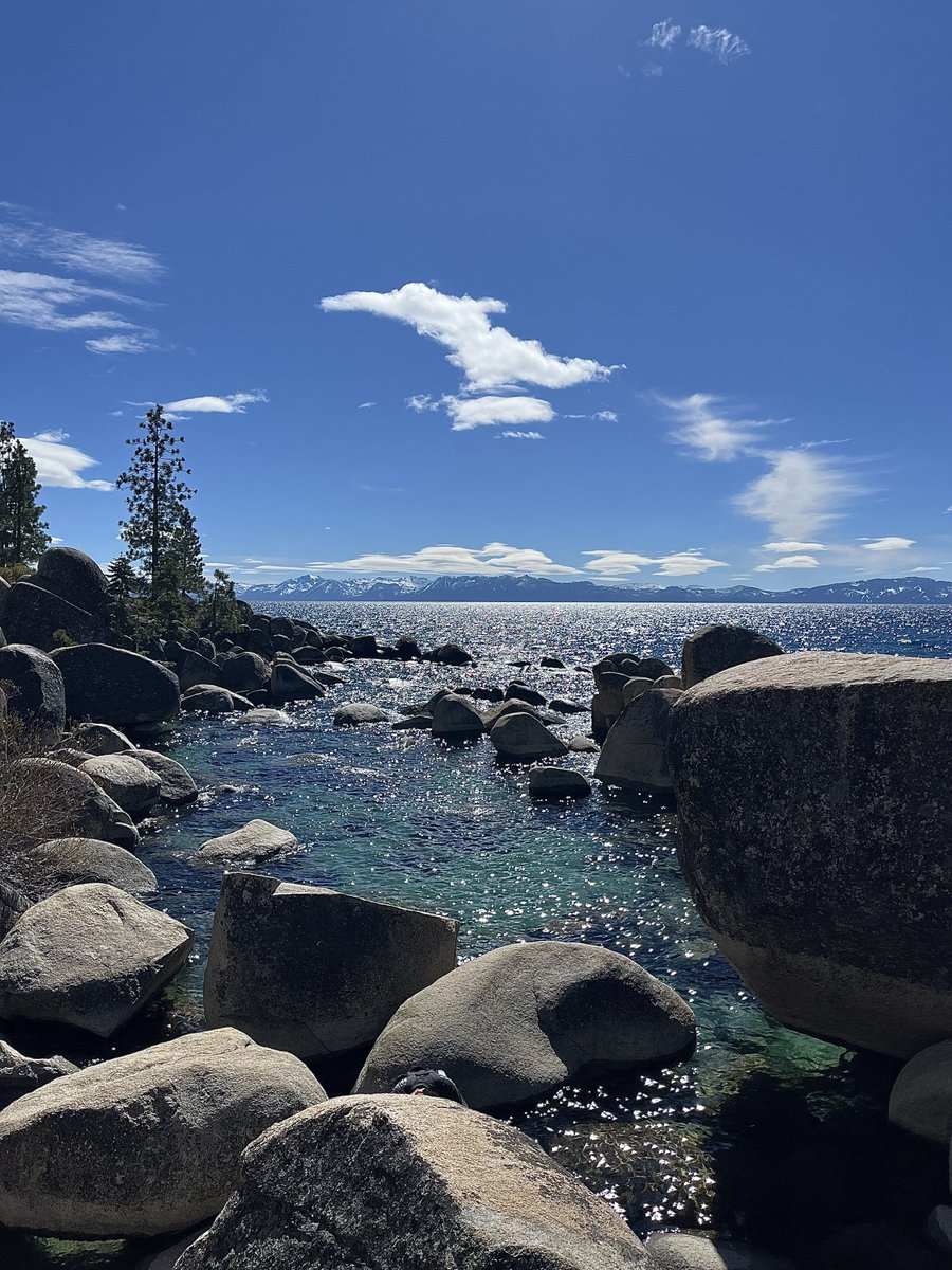 🐈‍⬛ tweet media