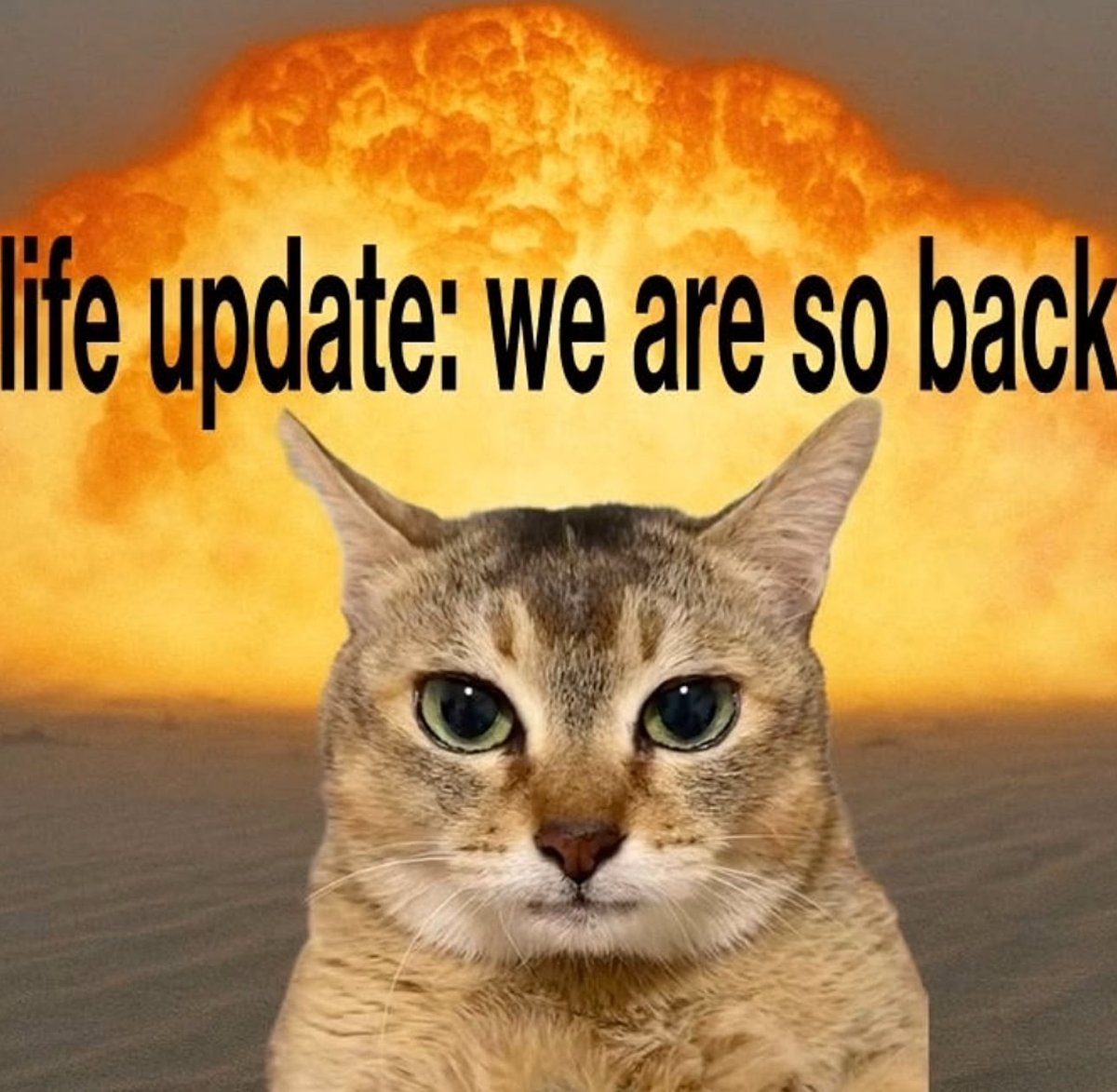 Kadir Kirisci tweet media