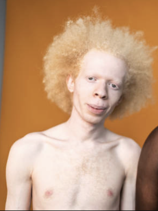 BBBaggins 🇩🇪 🇺🇸 tweet media