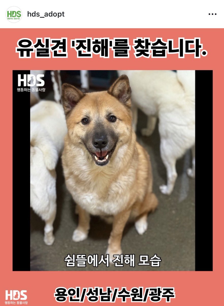 지니아갓쉬 진예애깃쉬 tweet media