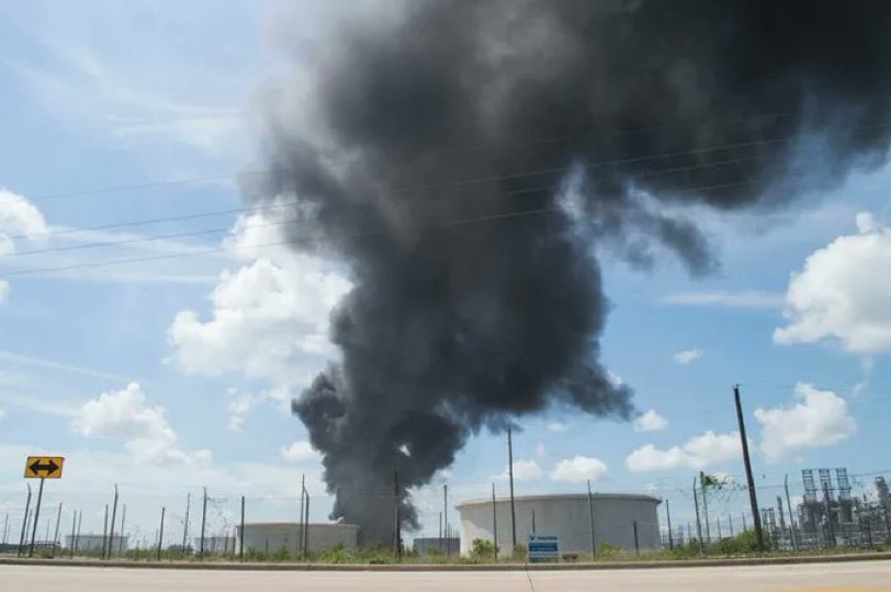 CryptoGoos tweet media