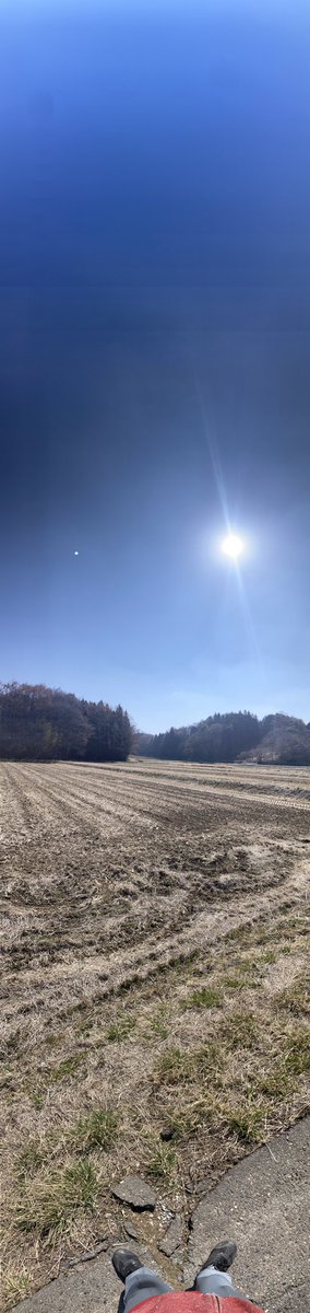 古籏一浩 tweet media