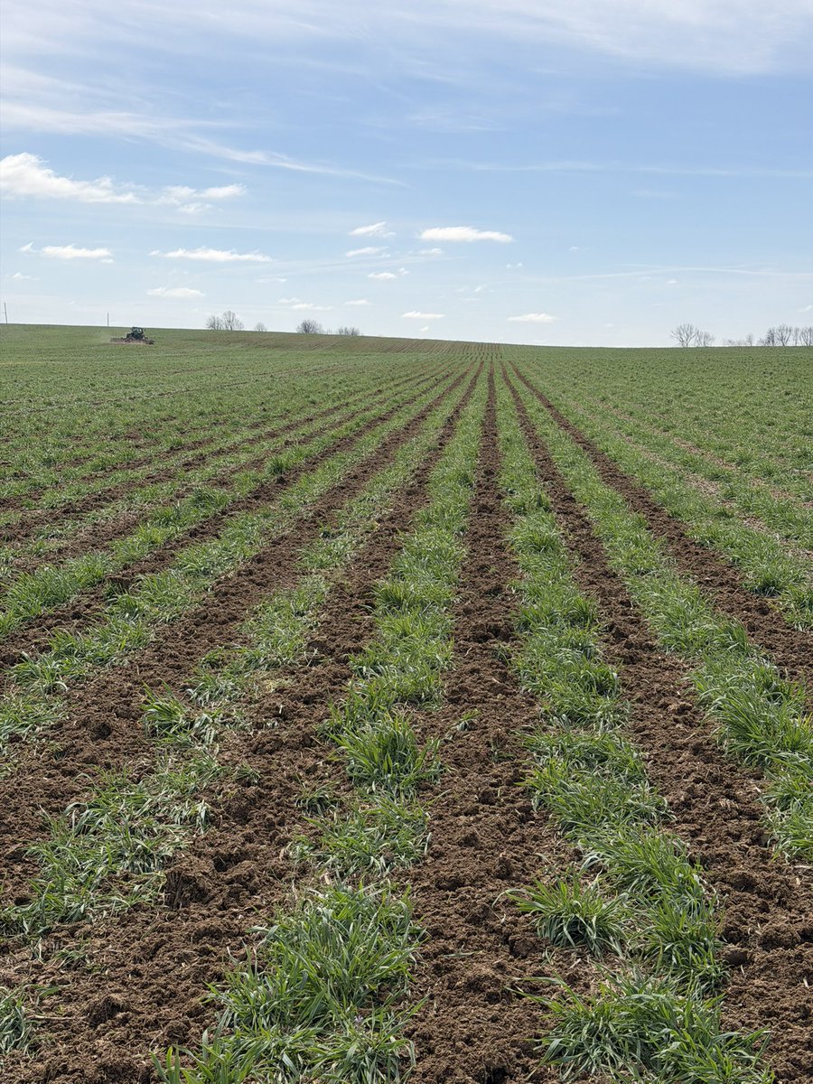 Banded Ag, LLC tweet media