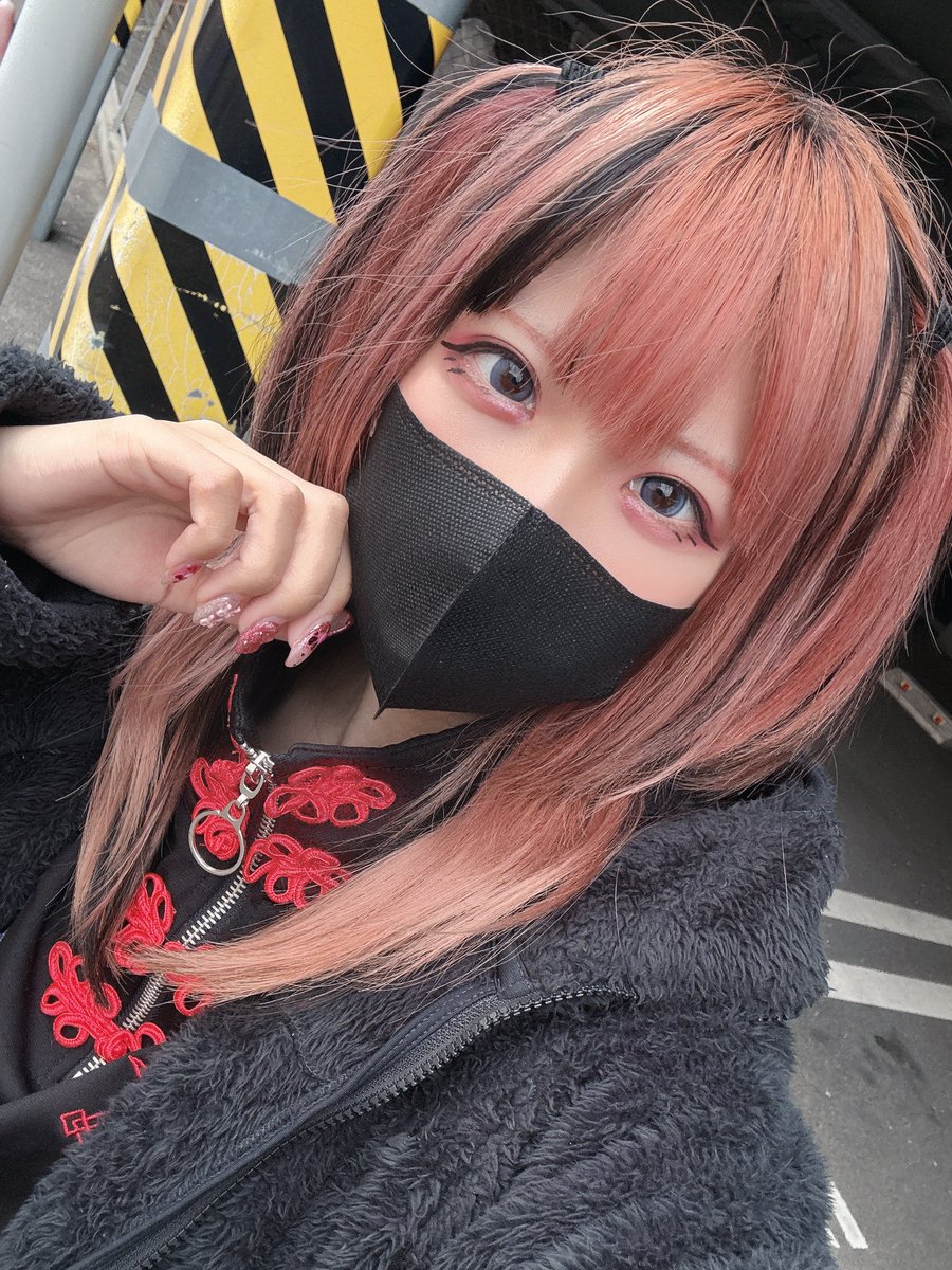 めざしおこ🐟💢 tweet media