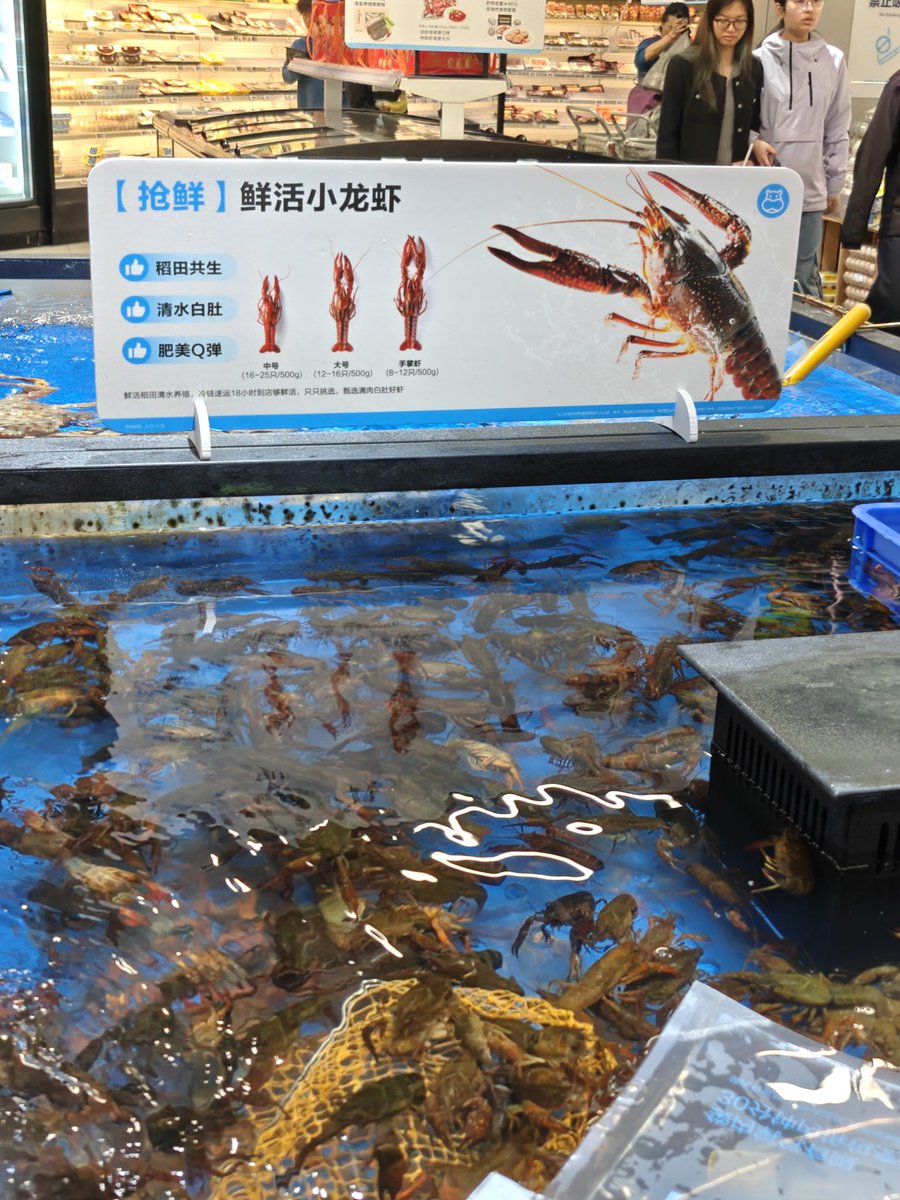 Alex Teo tweet media