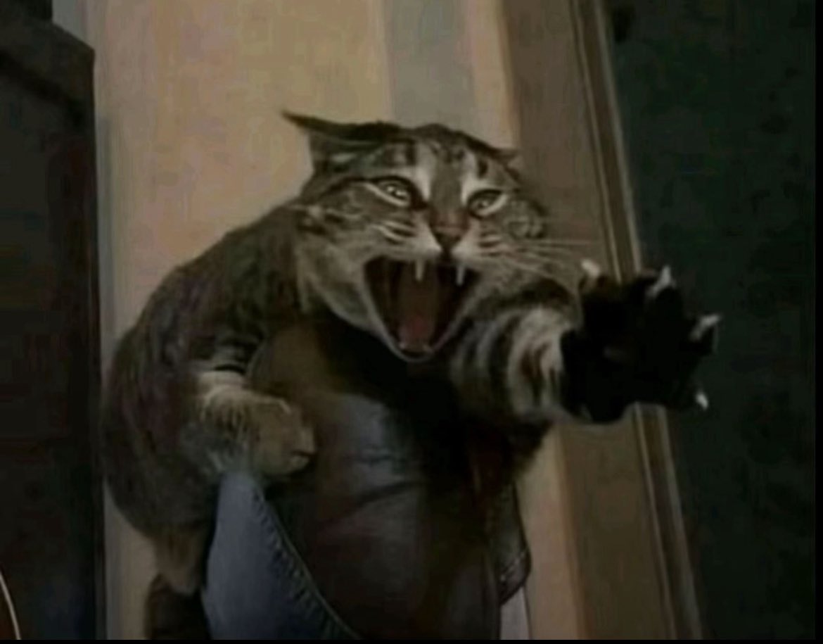 miri . ݁₊ ⊹ . ݁ ⟡ ݁ . ⊹ ₊ ݁. tweet media