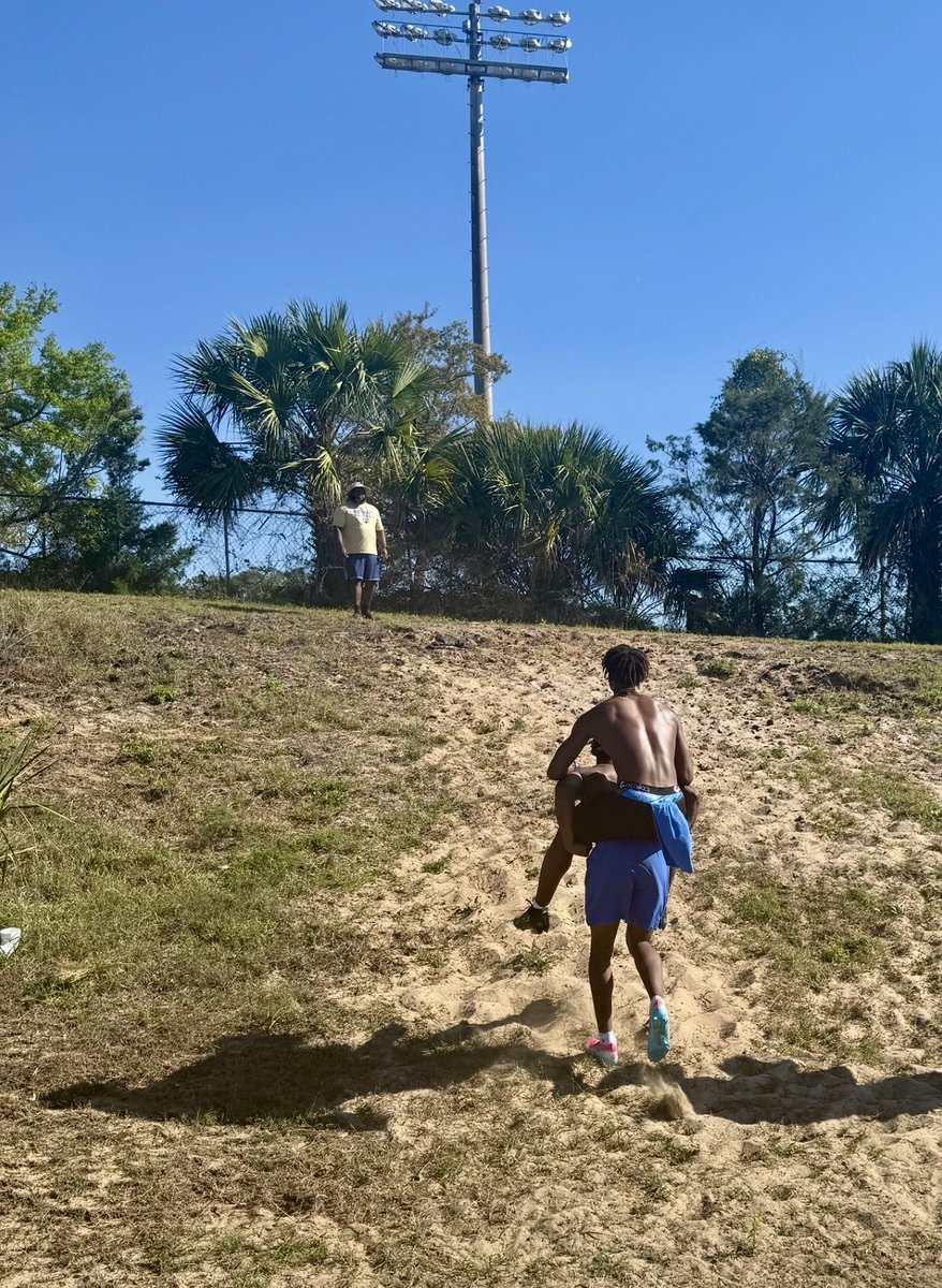 LoriLevoy tweet media