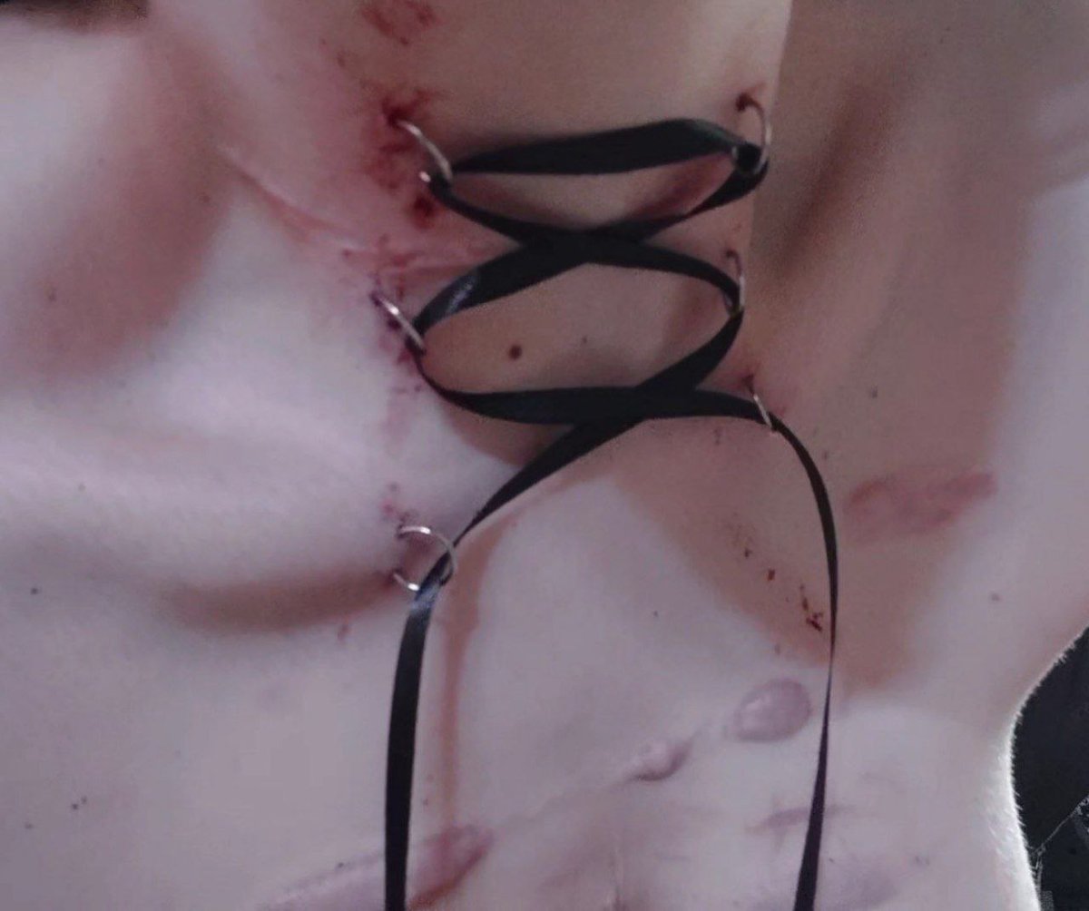 velvetcurse tweet media