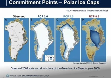 Commandante Pangolin Hugger tweet media