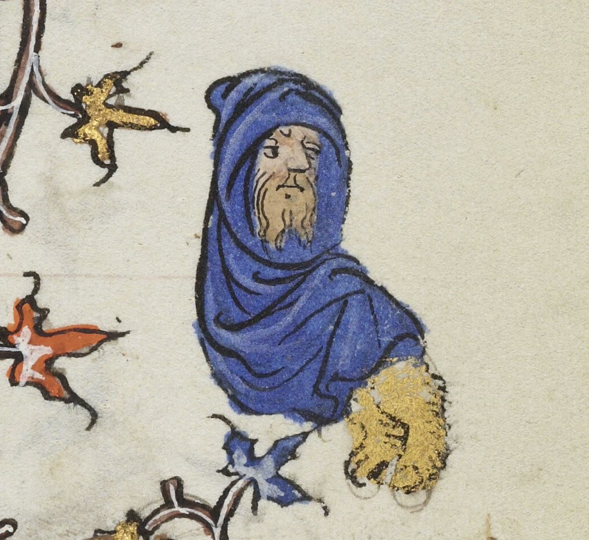 Dr Lacey Bonar Hull tweet media