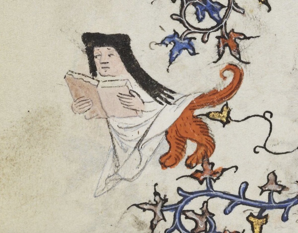 Dr Lacey Bonar Hull tweet media