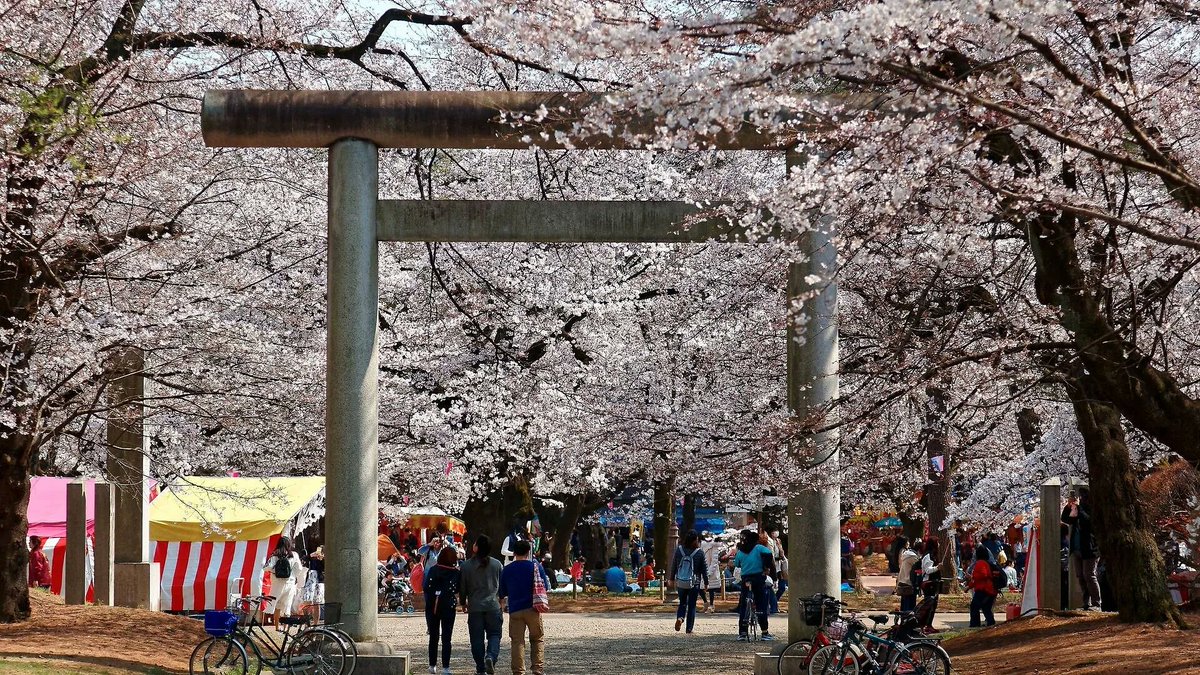 Time Out Tokyo JP tweet media