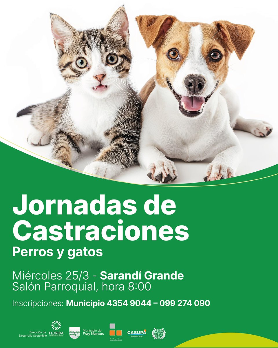 Intendencia de Florida tweet media