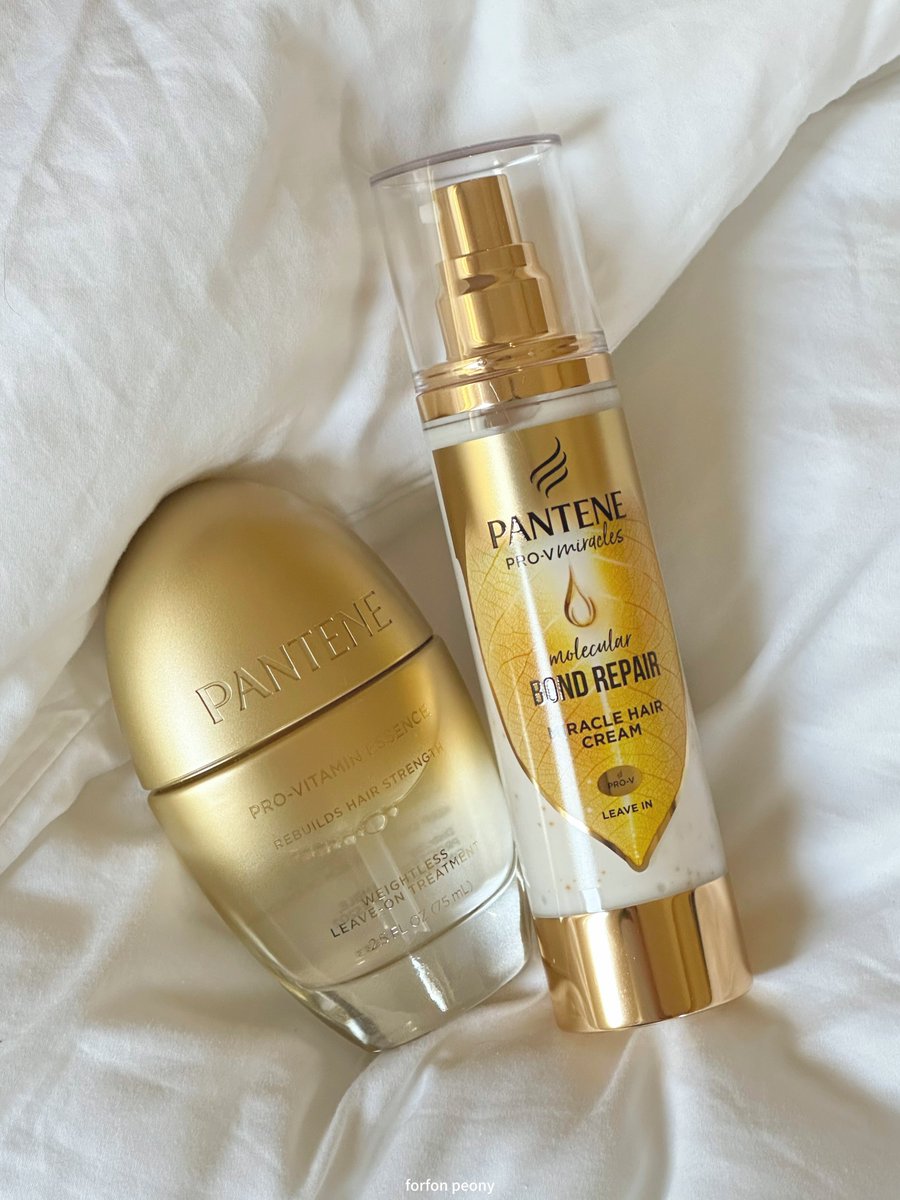 𝙁𝙊𝙍𝙁𝙊𝙉 𝙫𝙚𝙧.​ 𝙋𝙚𝙤𝙣𝙮 🪸🐟✨ tweet media