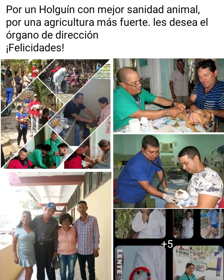 Centro Nacional de Sanidad Animal (CENASA) tweet media