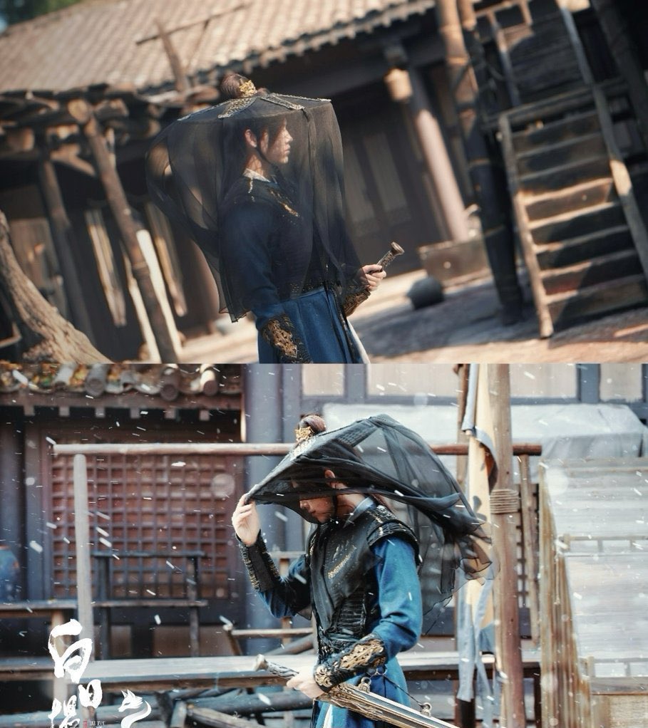 克莱尔 tweet media