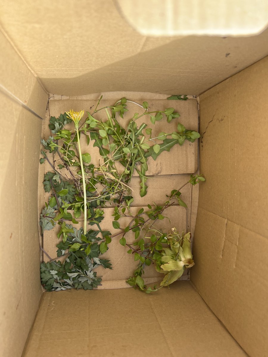 篠原たかし（sinoppy空山） tweet media