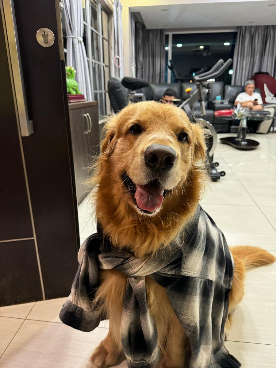 WOL Fayde tweet media