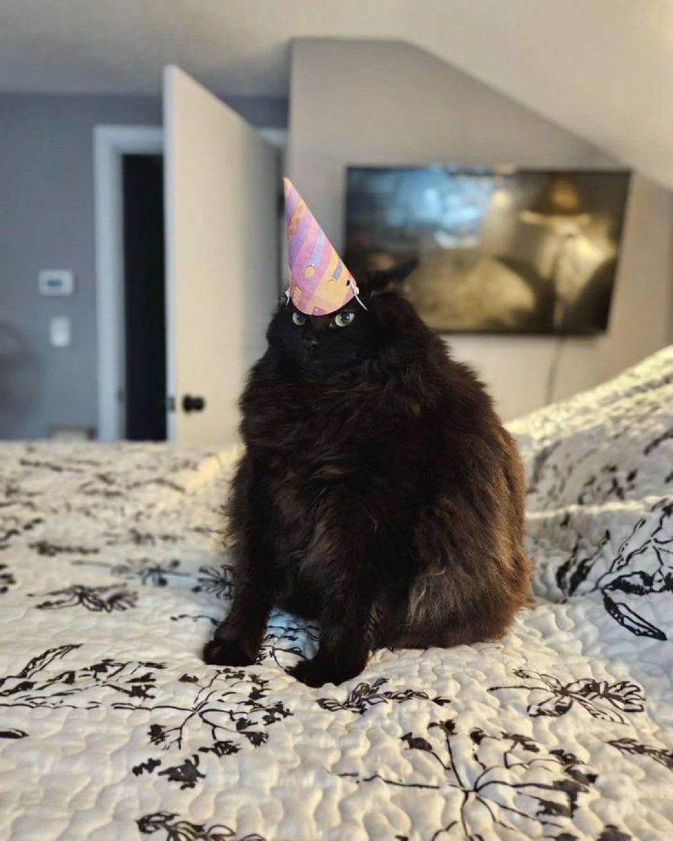 PowerfulAuraX's tweet photo. Unicorn https://t.co/eG08WRjhsb