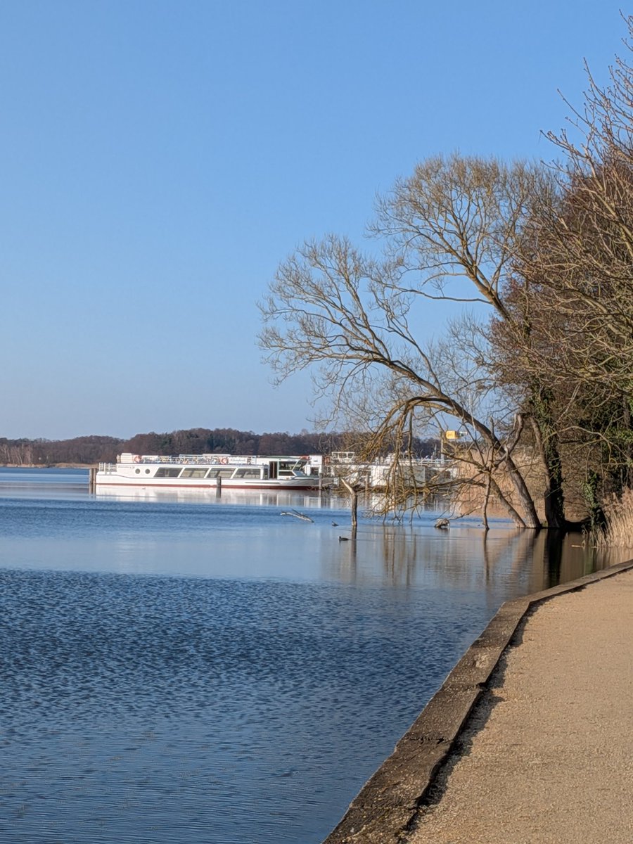 in_dubio tweet media