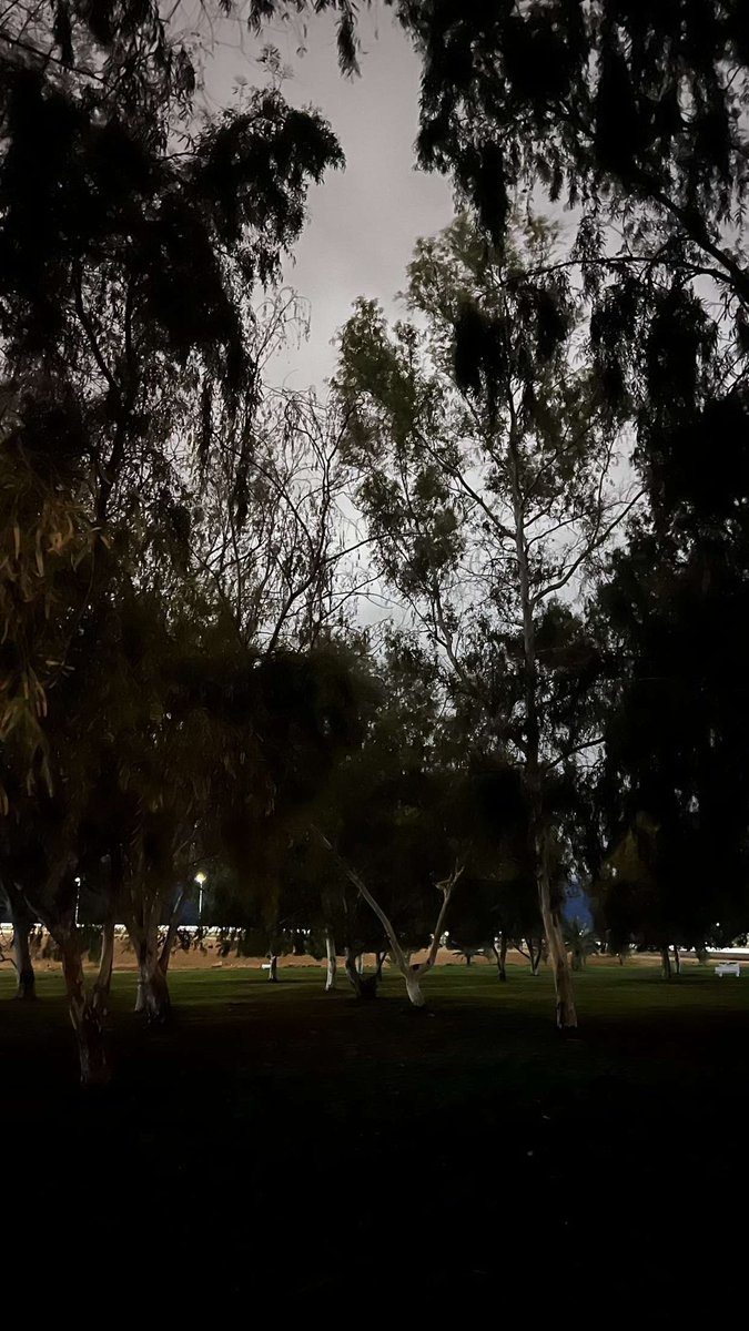 ابو متعب tweet media