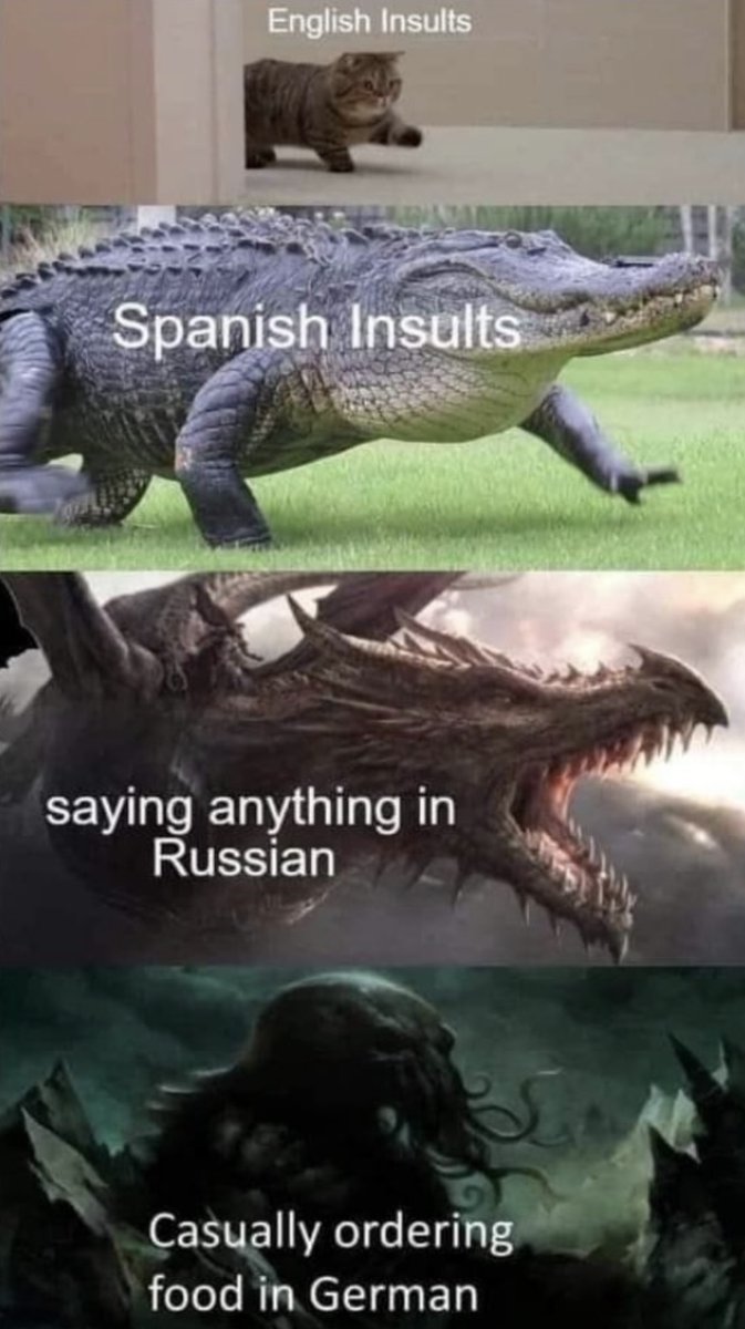 Respectful Memes tweet media