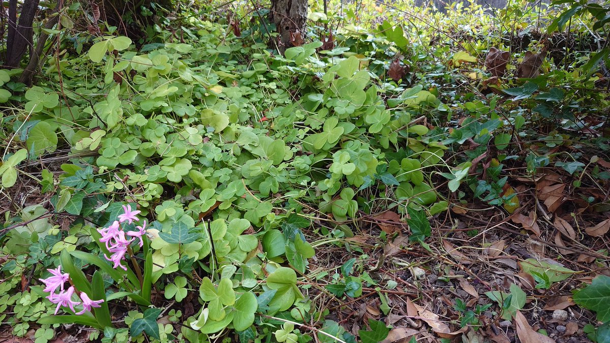 Cat-a-lyst ハンドメイド資材店 tweet media