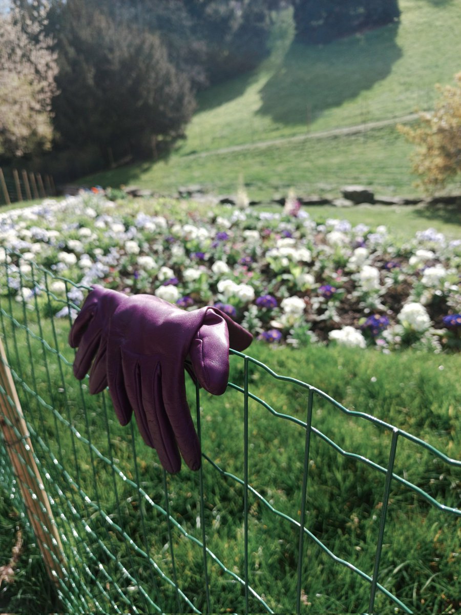 Fish & Dive 🐙'Préservons la Méditerranée' tweet media