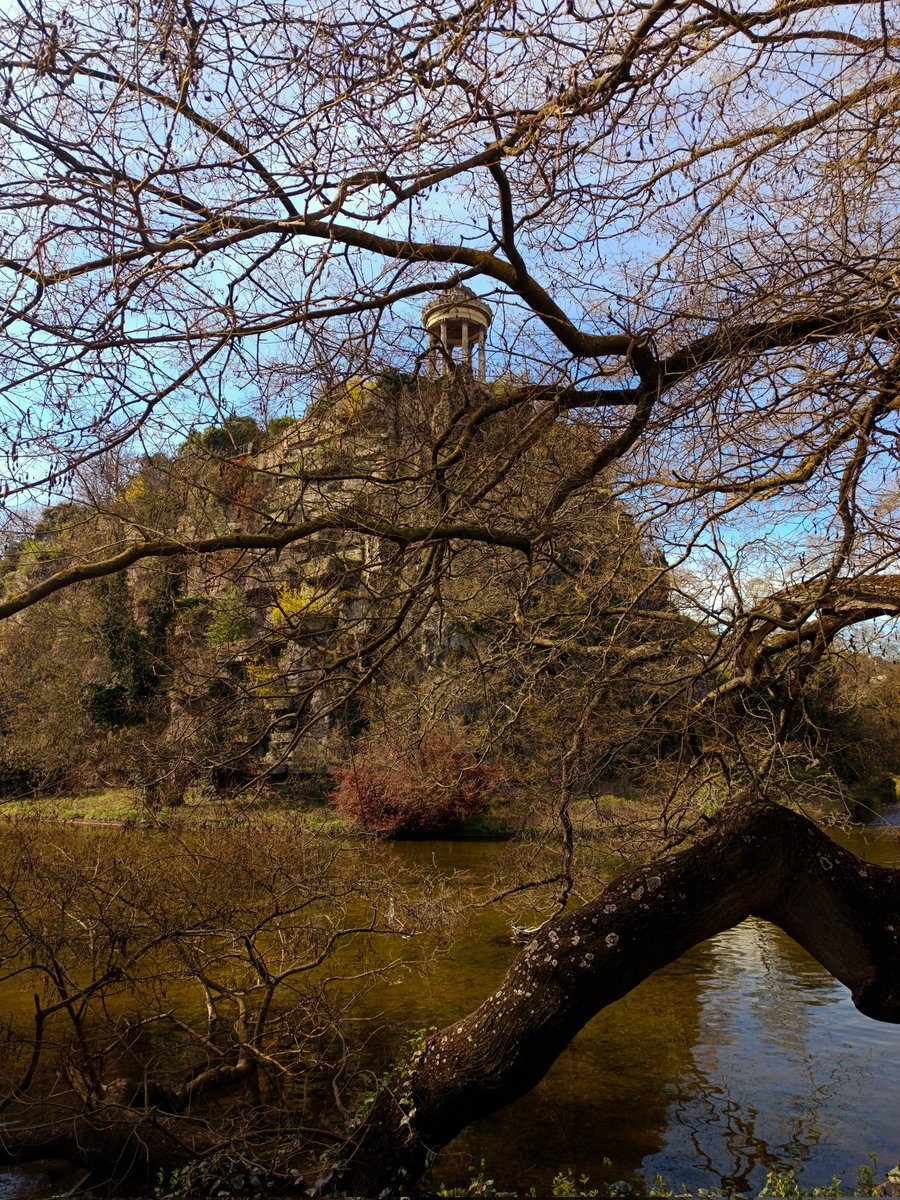 Fish & Dive 🐙'Préservons la Méditerranée' tweet media