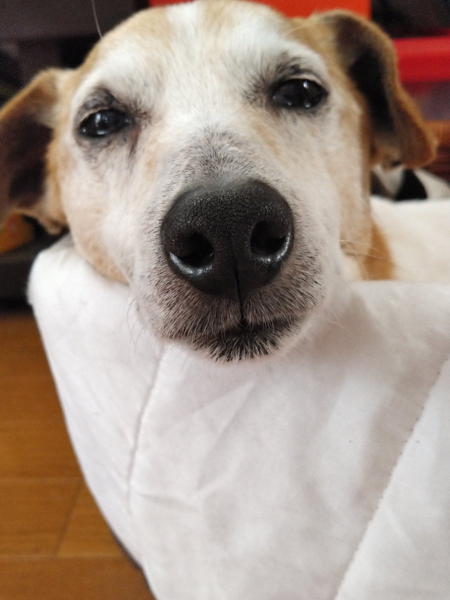 あ~み😘🌊🏄 tweet media