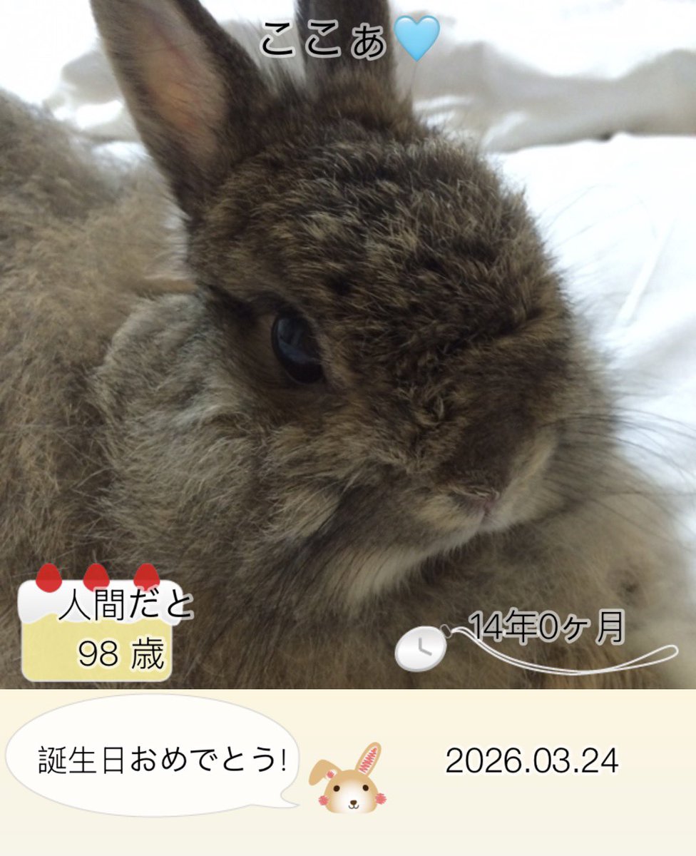 りこ。 tweet media