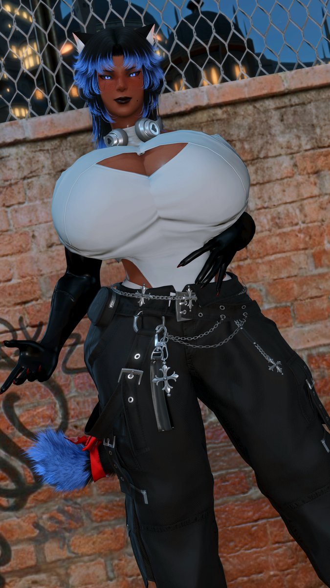 Zephi the TolCatte tweet media