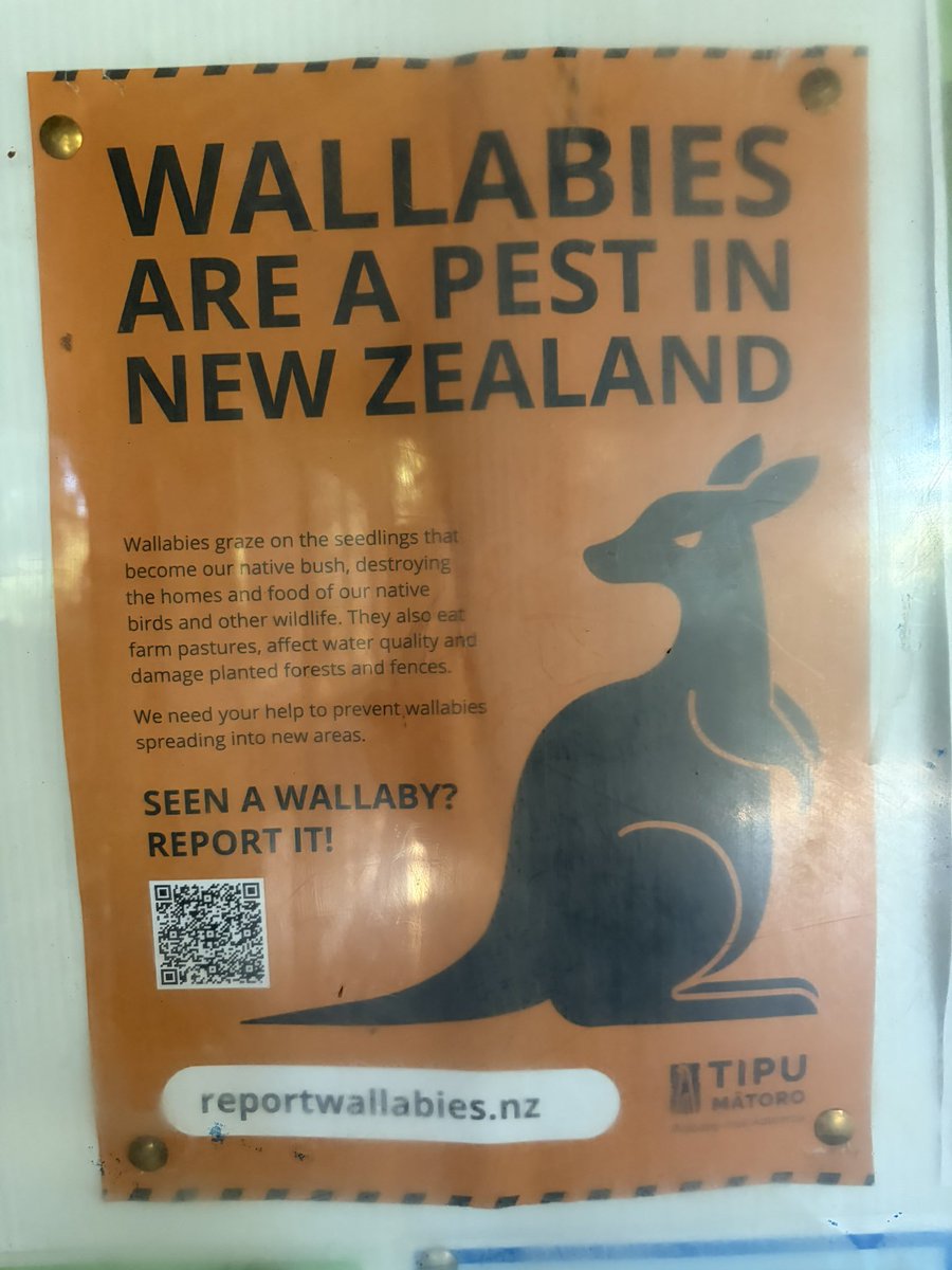 Hops n Barks 🇨🇦🇳🇿 tweet media