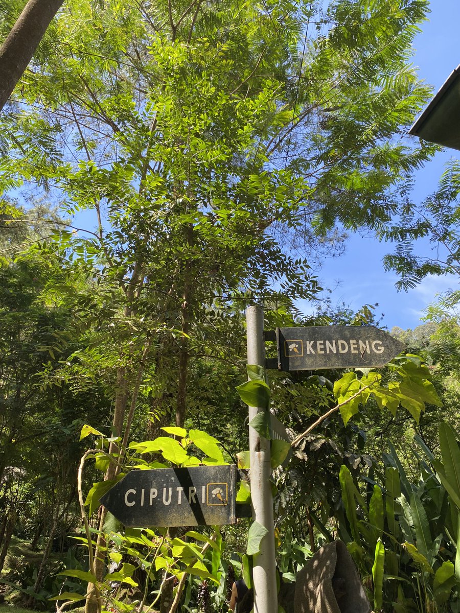 Just do it! tweet media