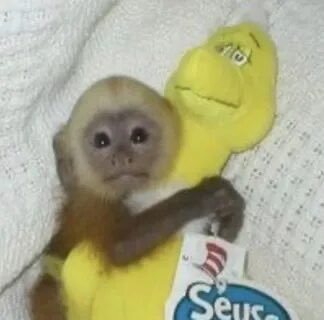 souljabryce tweet media