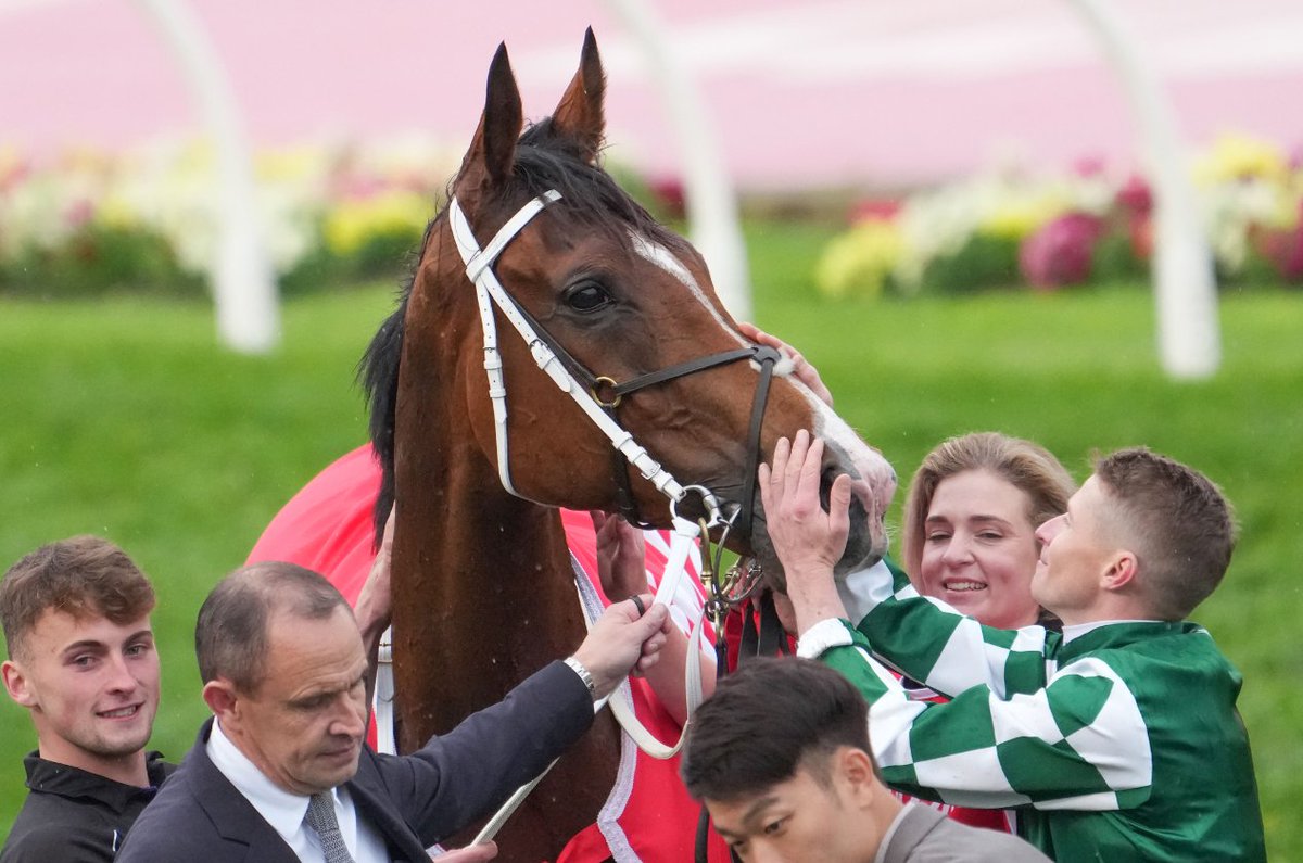 Ladbrokes Cox Plate tweet media