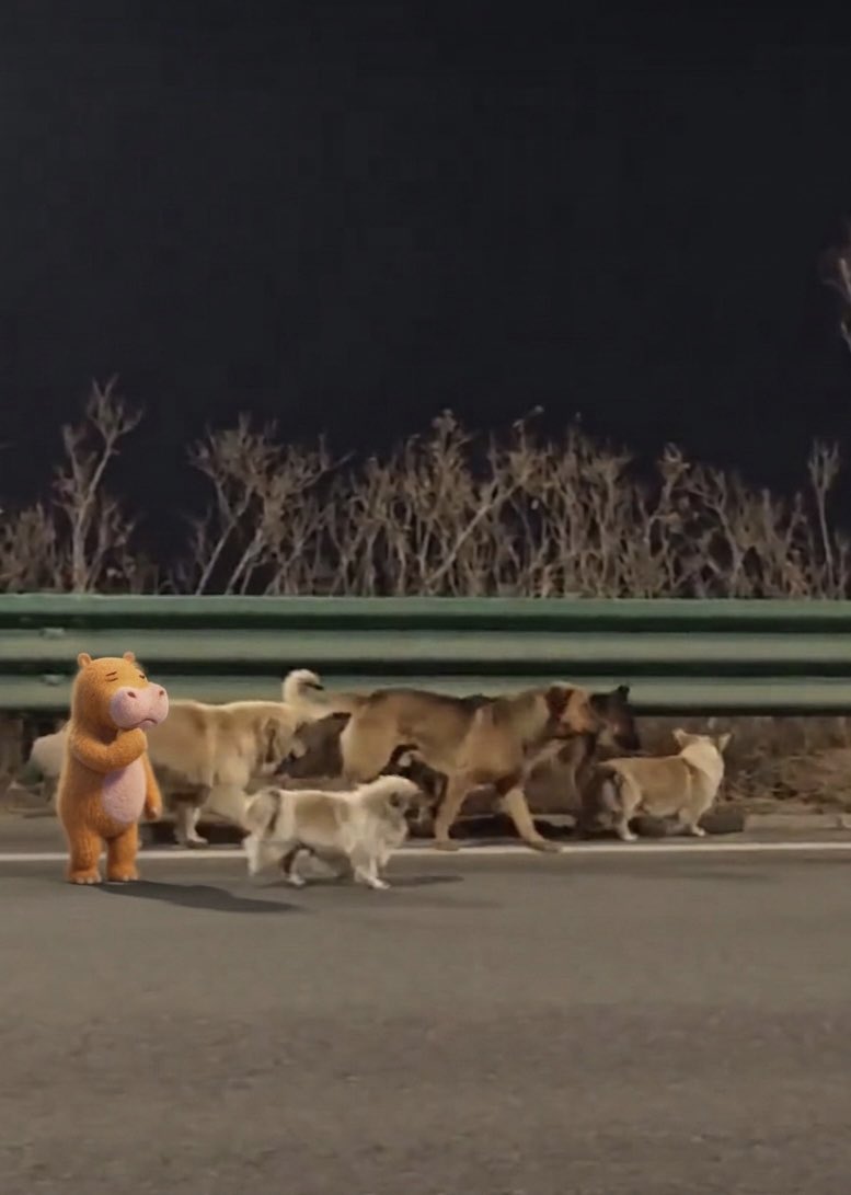 Capy Friends tweet media